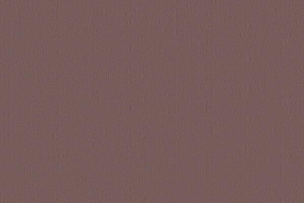 Moleskin