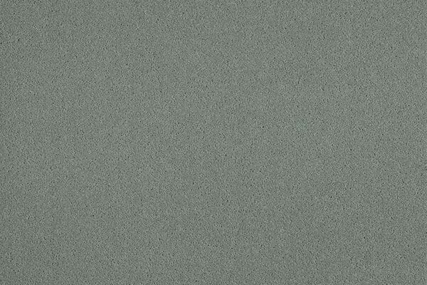 Wood Pigeon