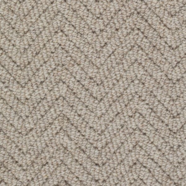 Sapwood