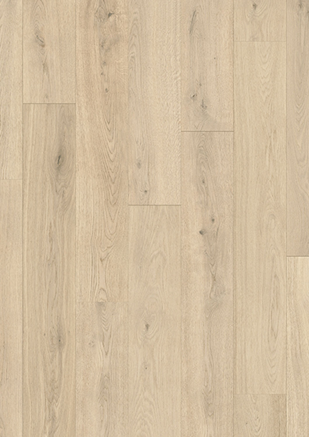 Ivory Oak