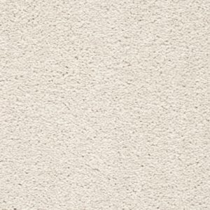Montreal 3 Swan Feathers