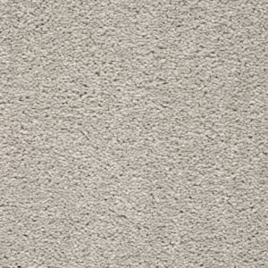 Montreal 39 Brushed Cotton