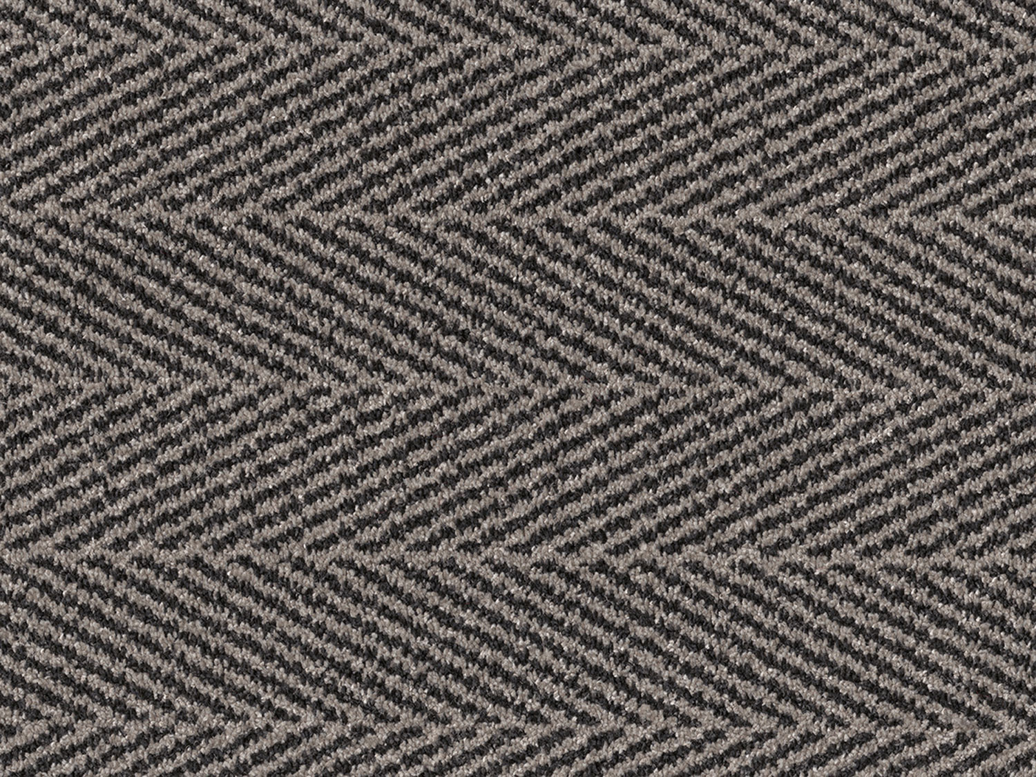 Chevron - Soft Taupe