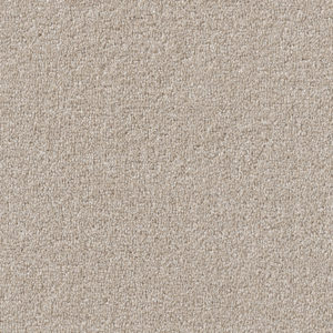 Plain - Clotted Cream