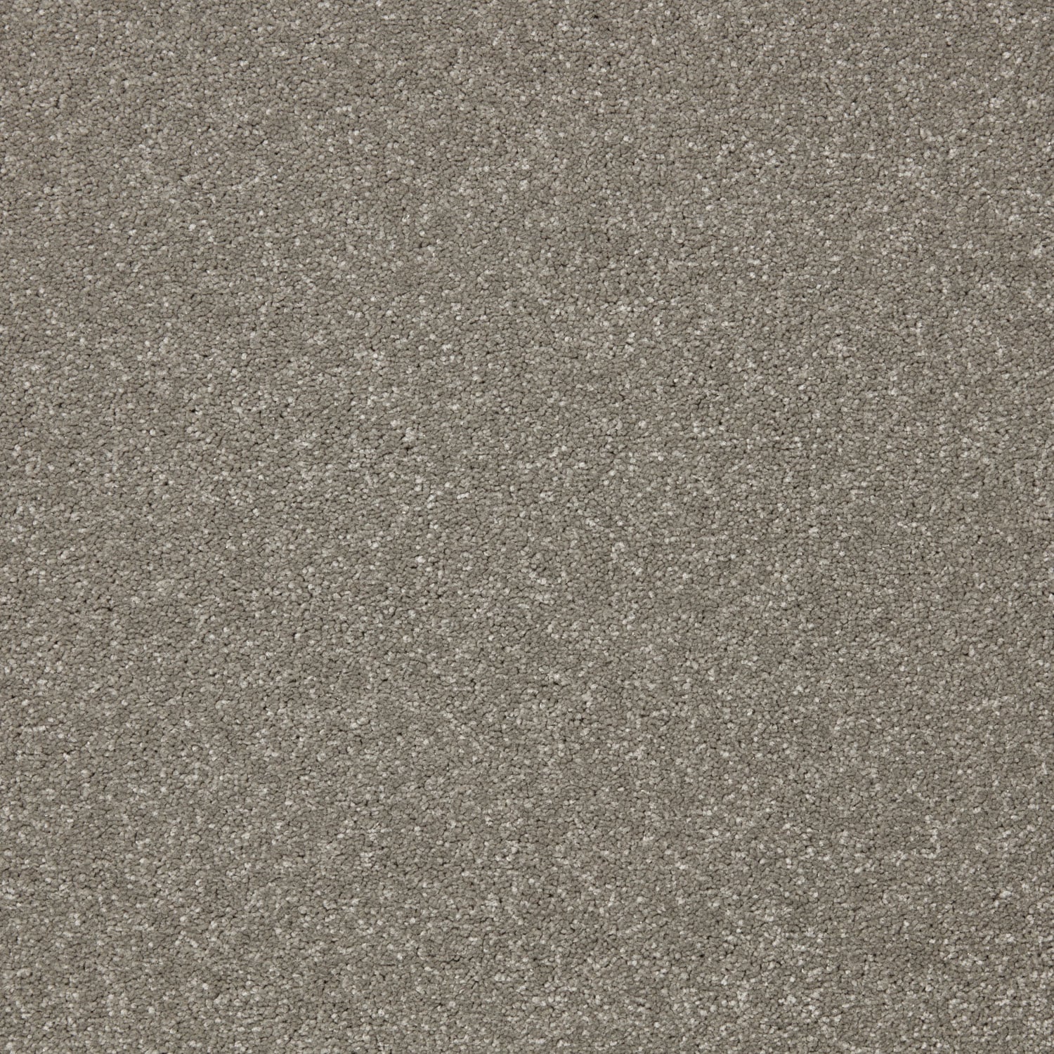Theakston Taupe