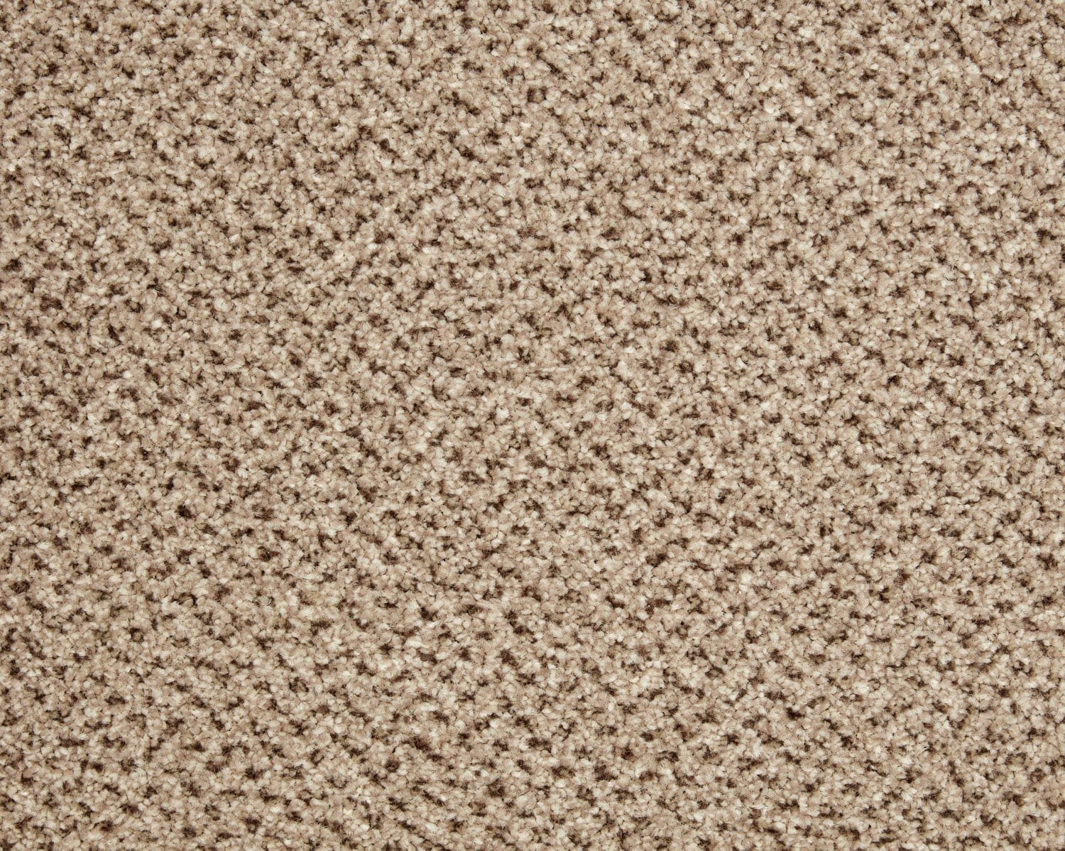 Westwood_Beige