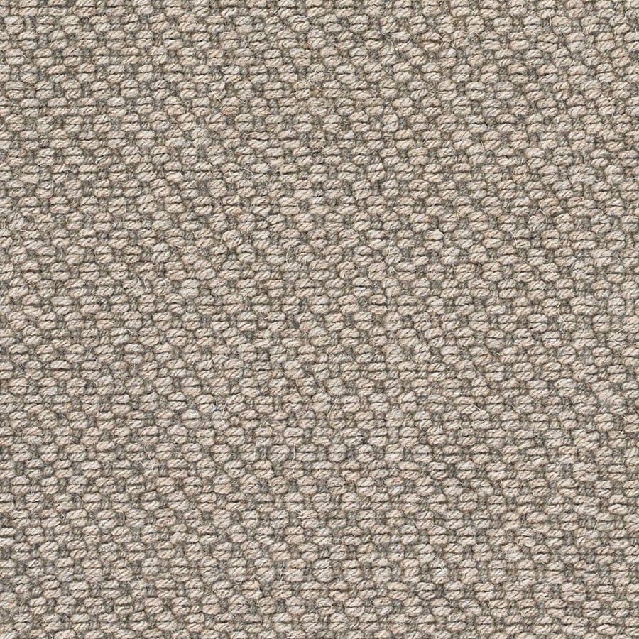 Kestrel