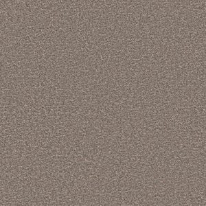 Alpine Grey