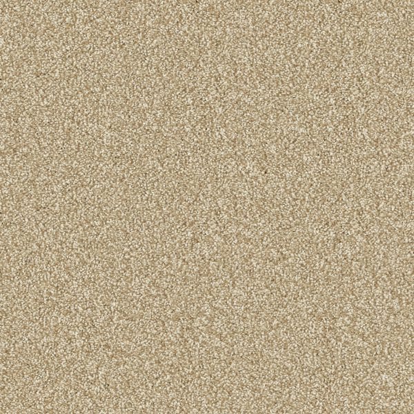 Desert Sand