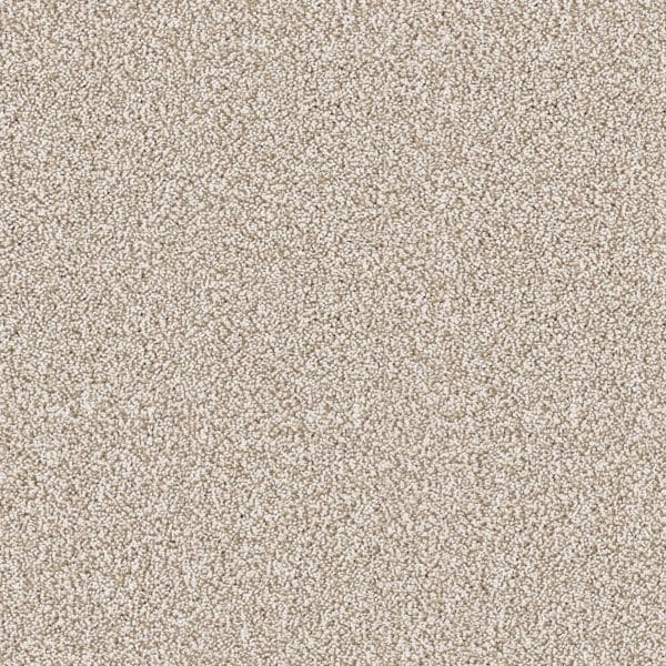 Gazelle