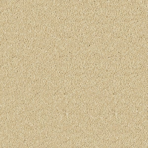 Sahara