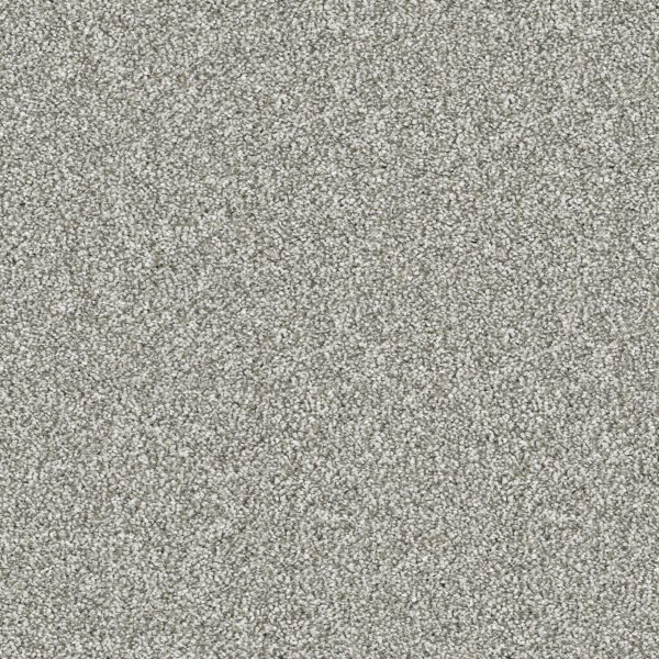 Dove Grey