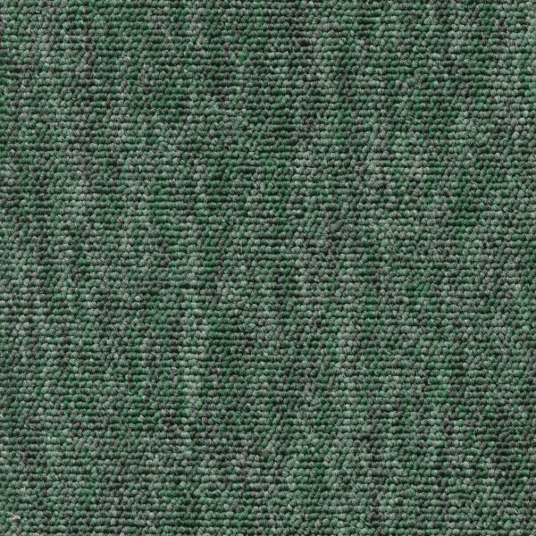 Sparta 28