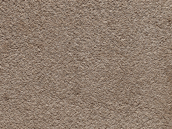 Desert Sand