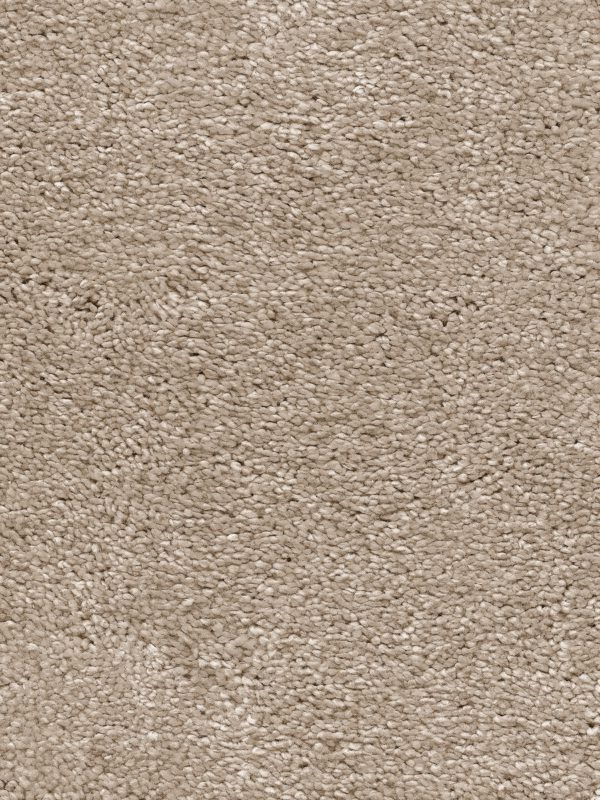 Titan 32