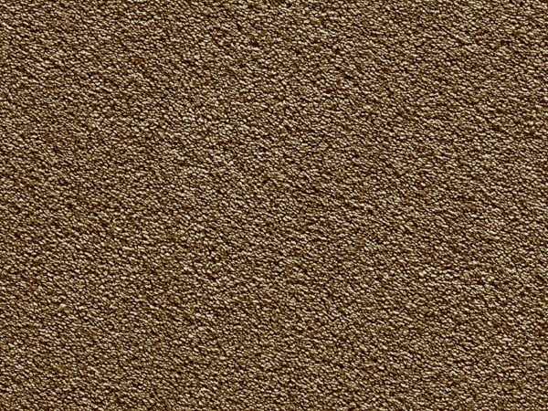 Mocha