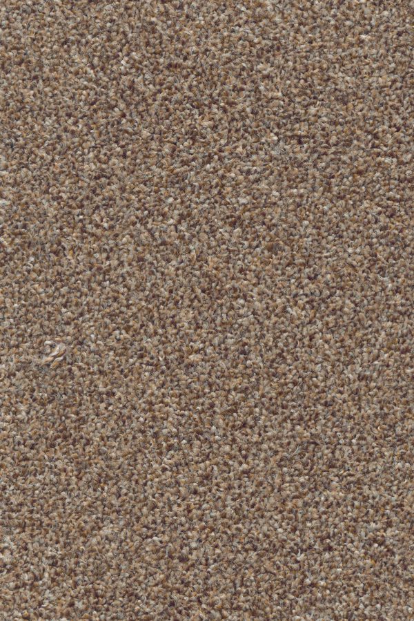 Jupiter 44